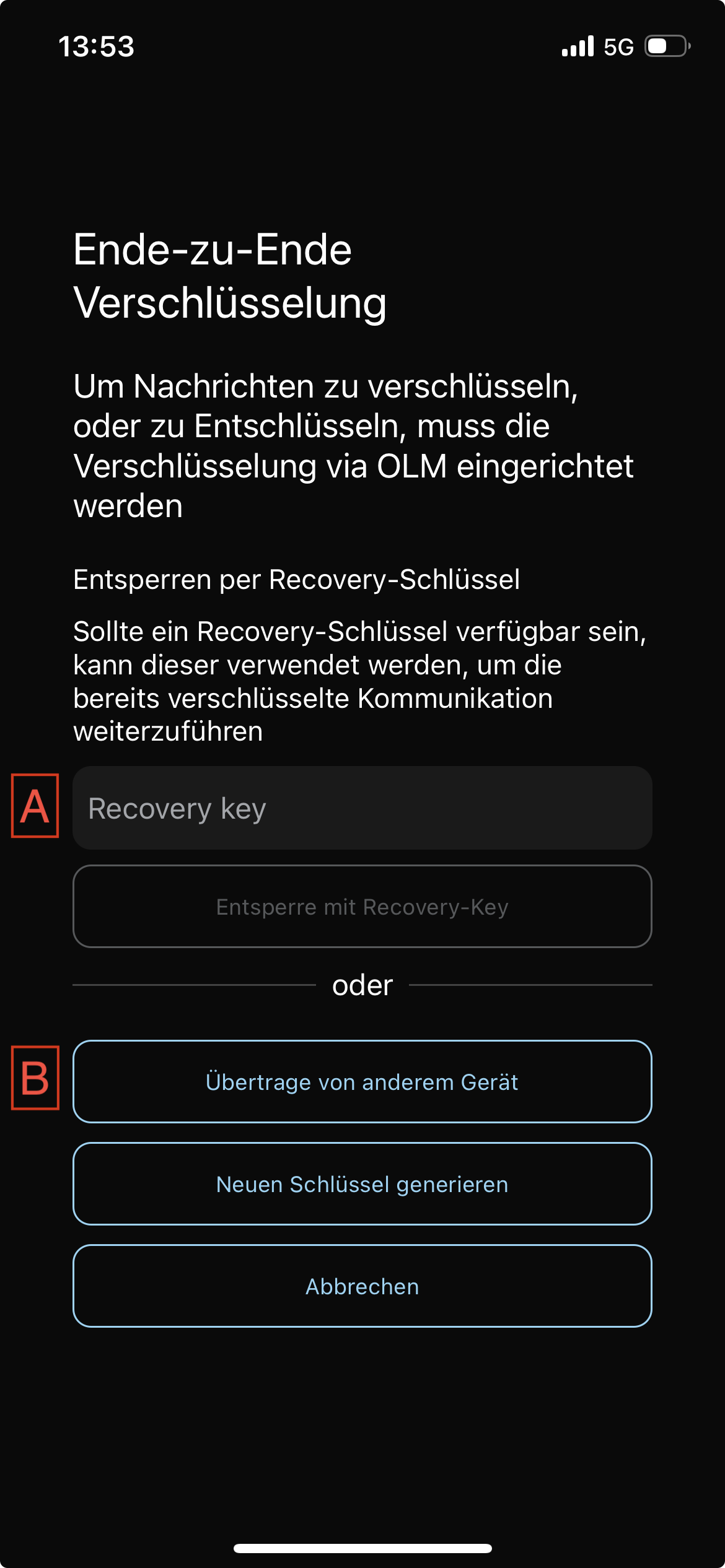 Optionen Recovery Key oder Geratetransfer in der App